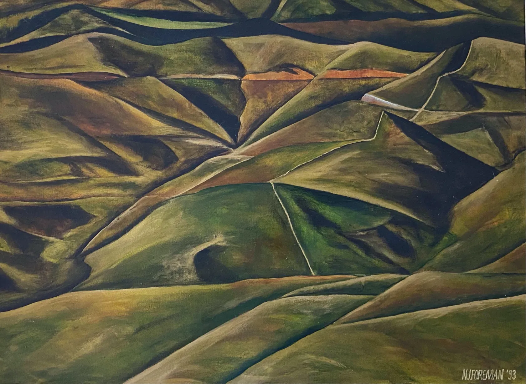 NICKY FOREMAN (b. 1971) - Mahoenui I | International Art Centre