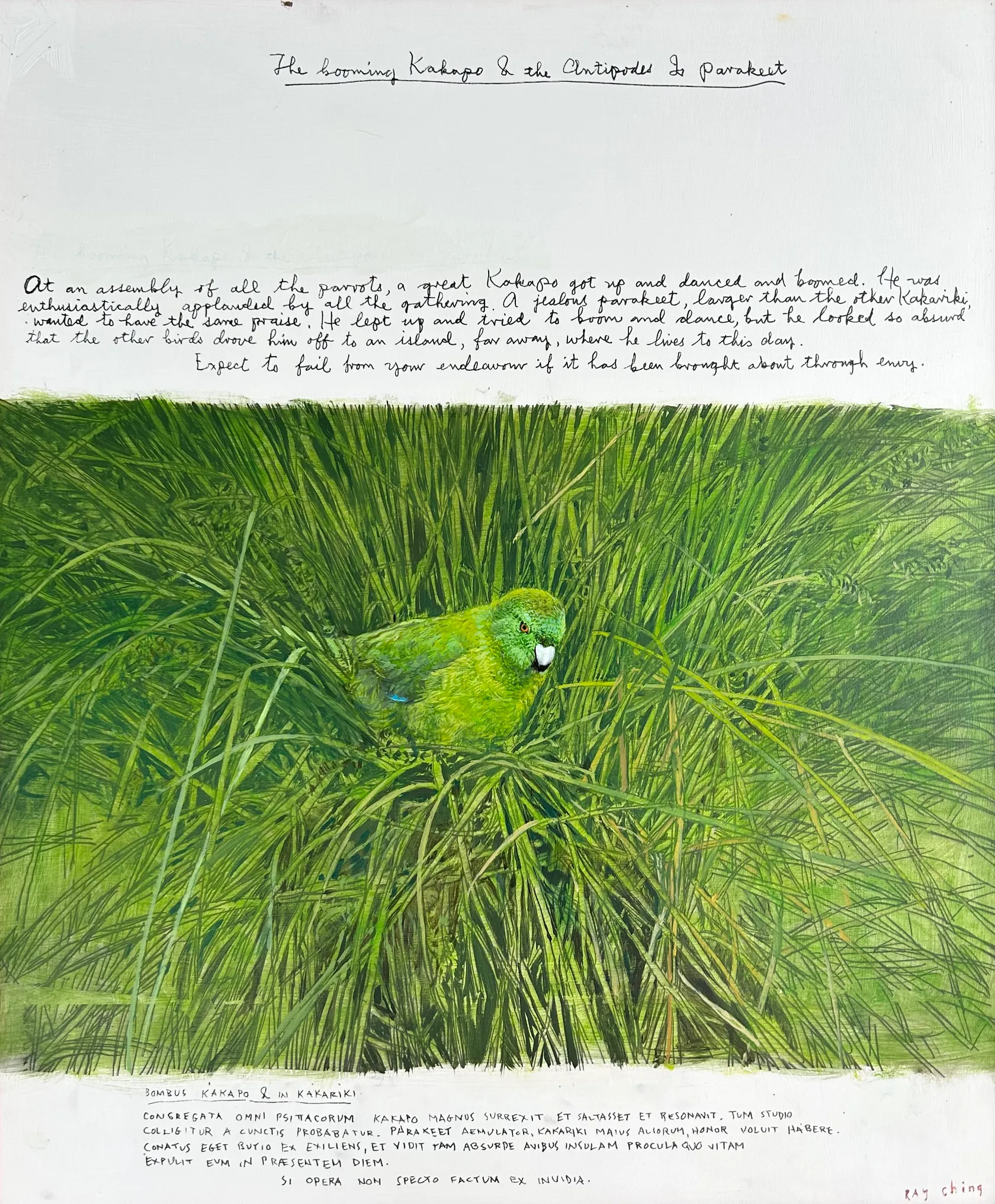 RAYMOND CHING - P. 207 The Booming Kakapo & the Parakeet ...