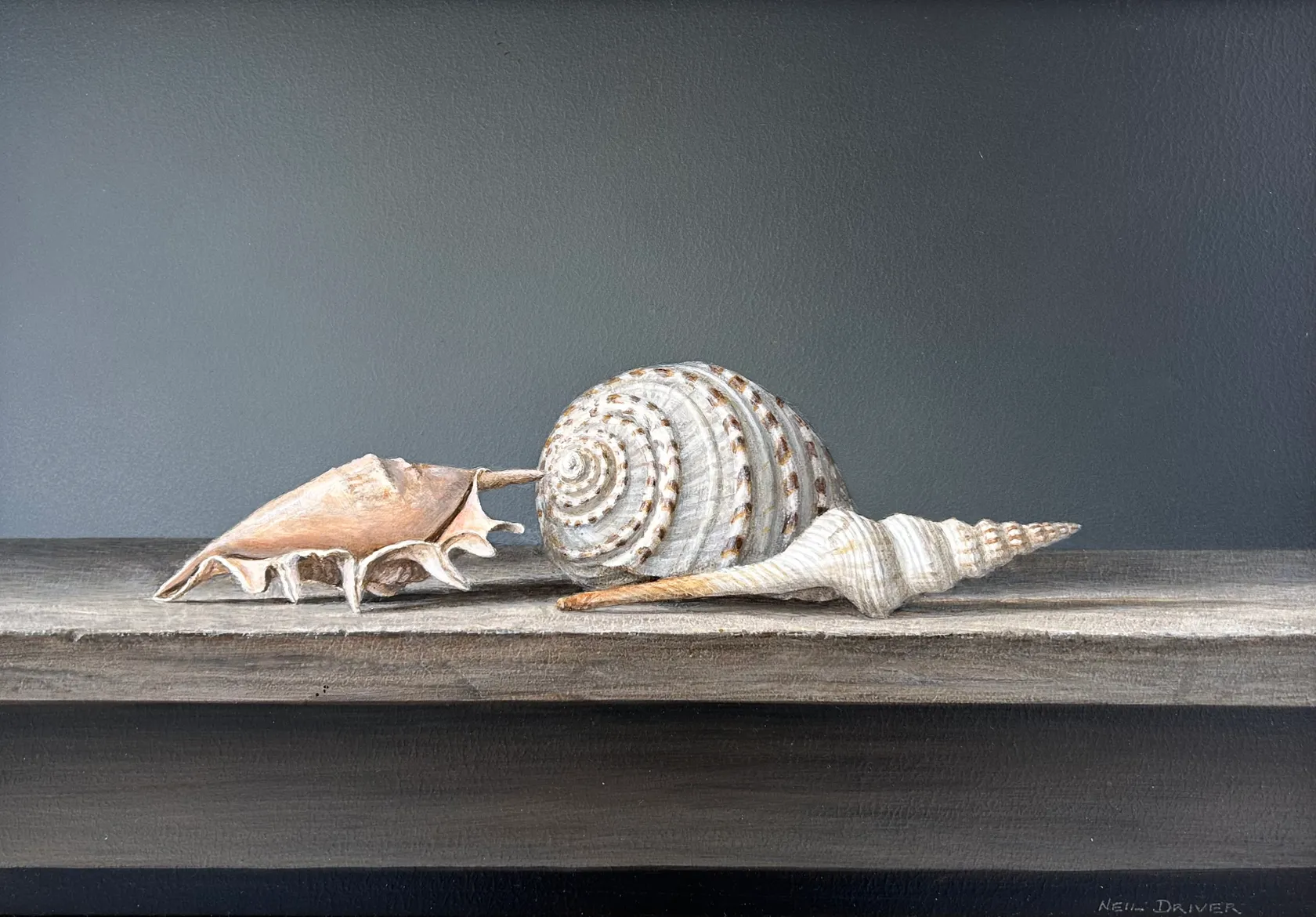 NEIL DRIVER - Shells | International Art Centre