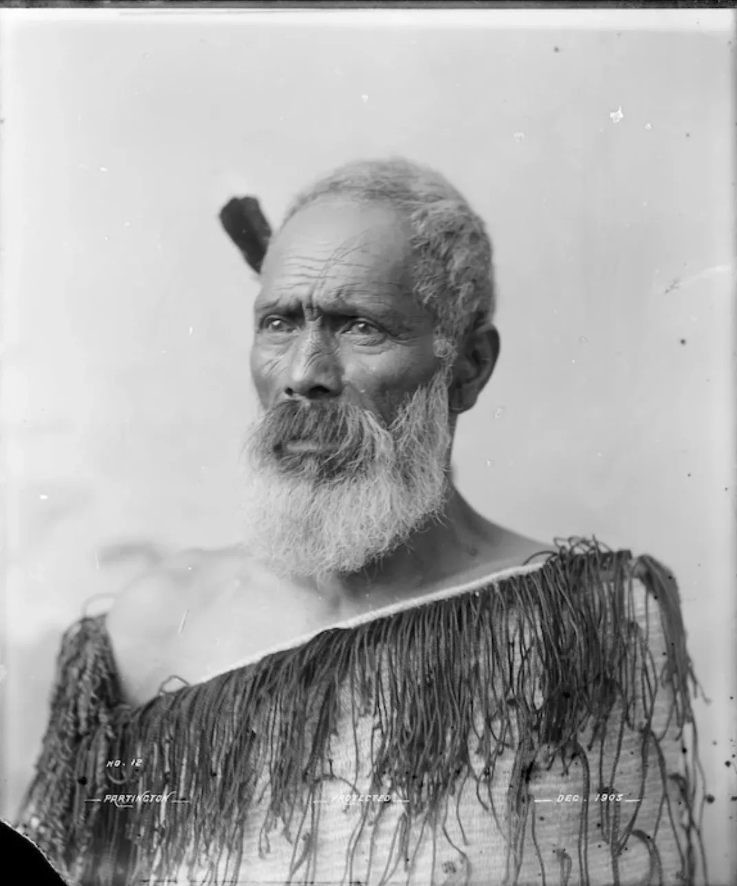 WILLIAM HENRY PARTINGTON - Maori Tane Wearing Korowai | International ...
