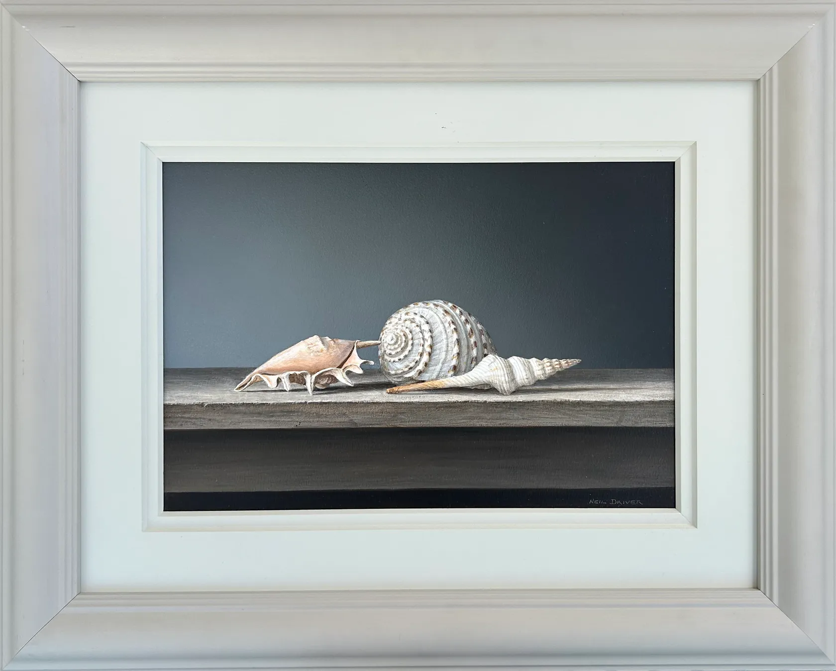 NEIL DRIVER - Shells | International Art Centre