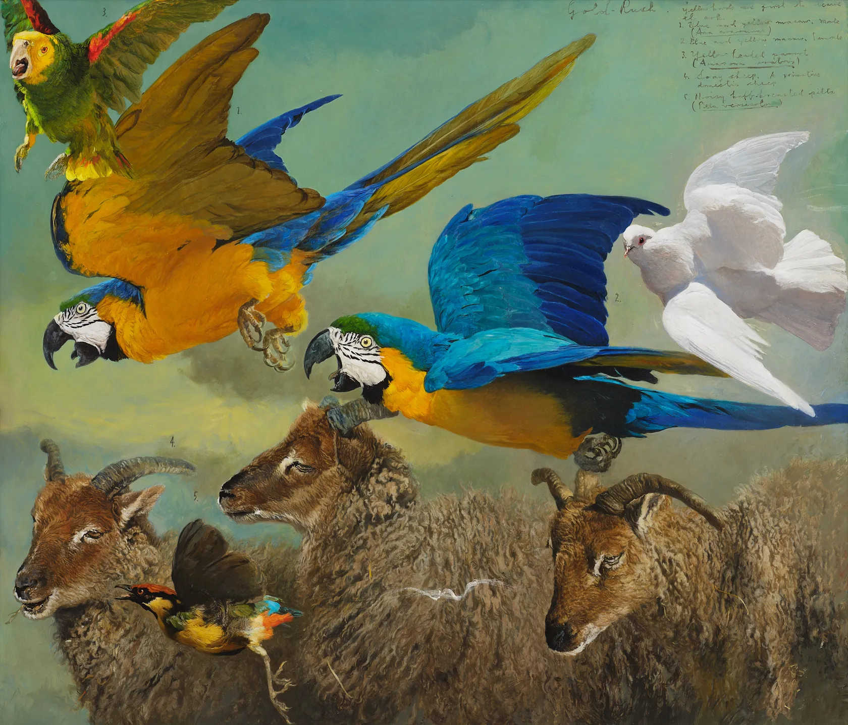 RAYMOND CHING - Gold Rush | International Art Centre