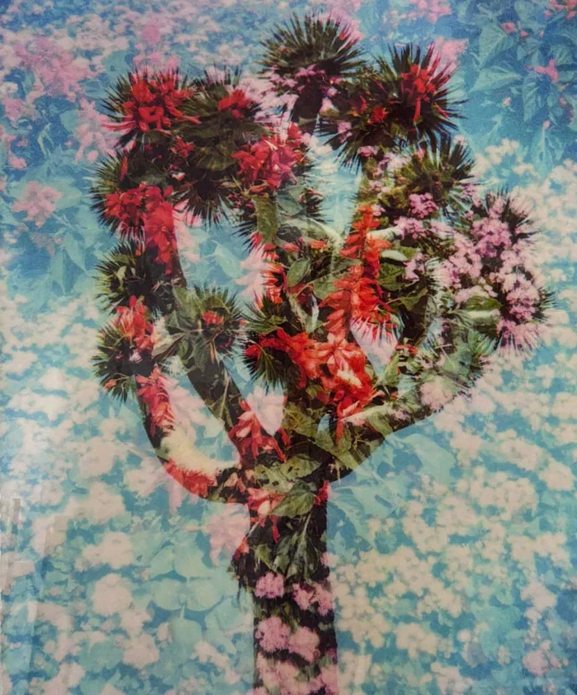 Paul Hartigan | International Art Centre